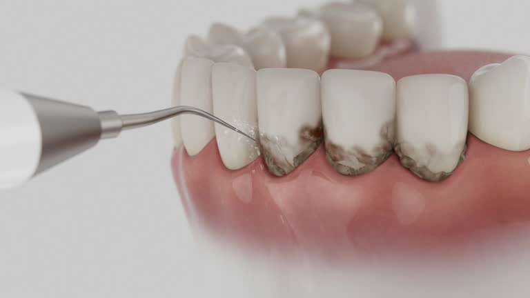 Reliable Dental contractor in Park Hills, MO by Dentist Open Now